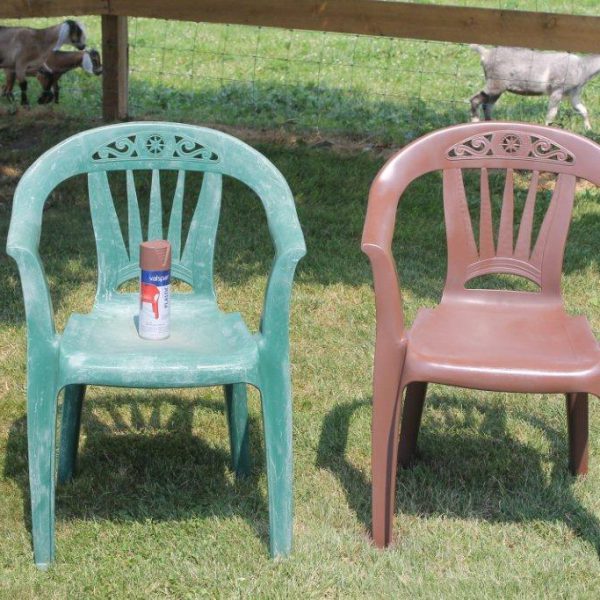 صندلی‌ های پلاستیکی با طراحی مدرن خرید آسان در فروشگاه آنلاین